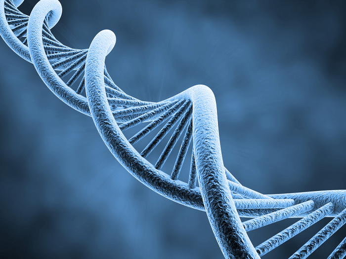 3-Basic-Concepts-in-Genetic-Engineering-DNA-double-helix-structure
